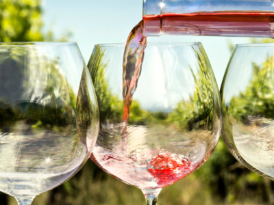 How does terroir influence the taste of wine? 